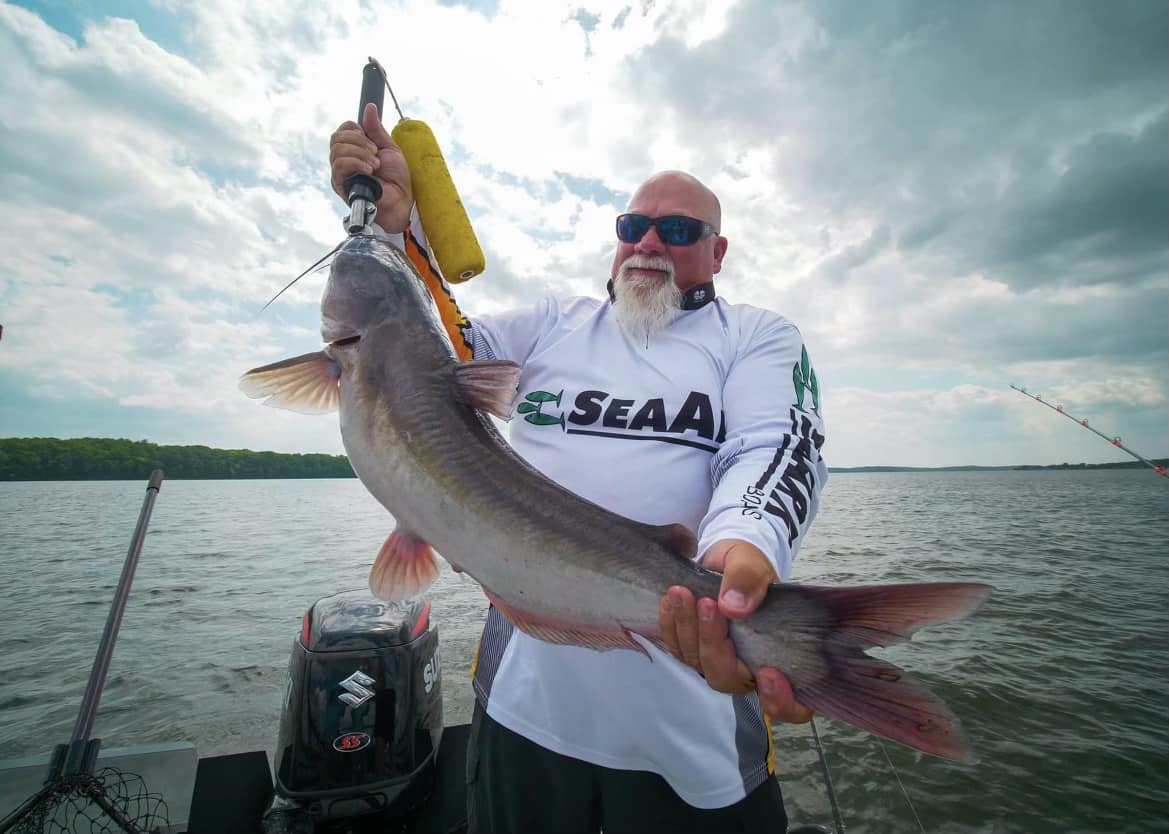 CatfishNOW1's tweet photo. Autumn means the sun is lower in the sky, and days are shorter. Thus, conditions are good for consistent action throughout the day and night. John Godwin caught this catfish on his @SeaArkBoats! 

https://t.co/J15bFVM8w7

#SeaArkBoats #SeaArkLifeBestLife #BoatsBuiltForALifetime https://t.co/83AyhsUd6p