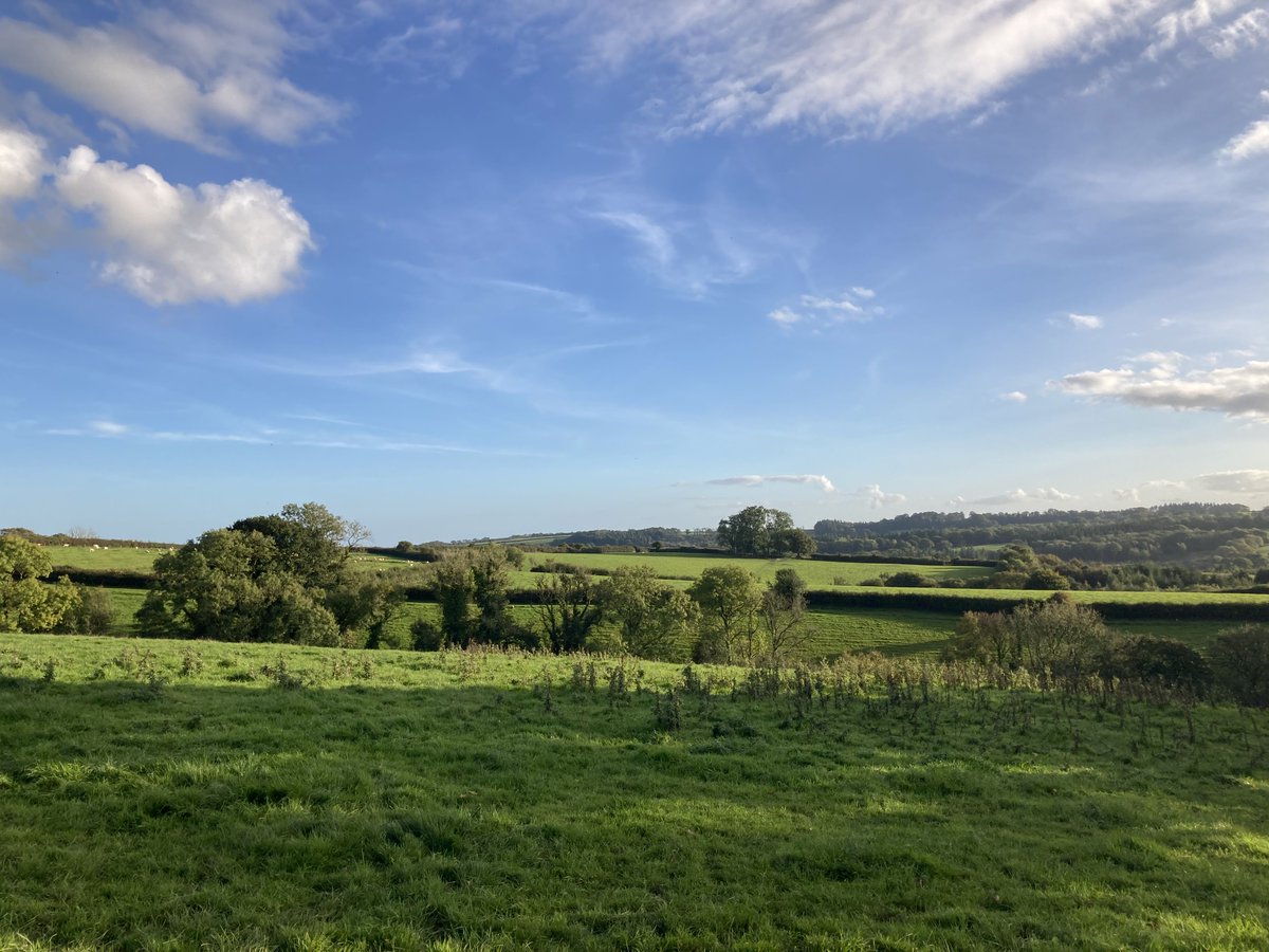 rossstevens_uk's tweet photo. After weeks of planning we are GO on the Feighan Fury.

A challenging 10 mile trail race situated in Mid-Devon. On a private estate, so you'll only get views like this once a year.

https://t.co/dAUG8CuNpF https://t.co/KlAWV8jKPc