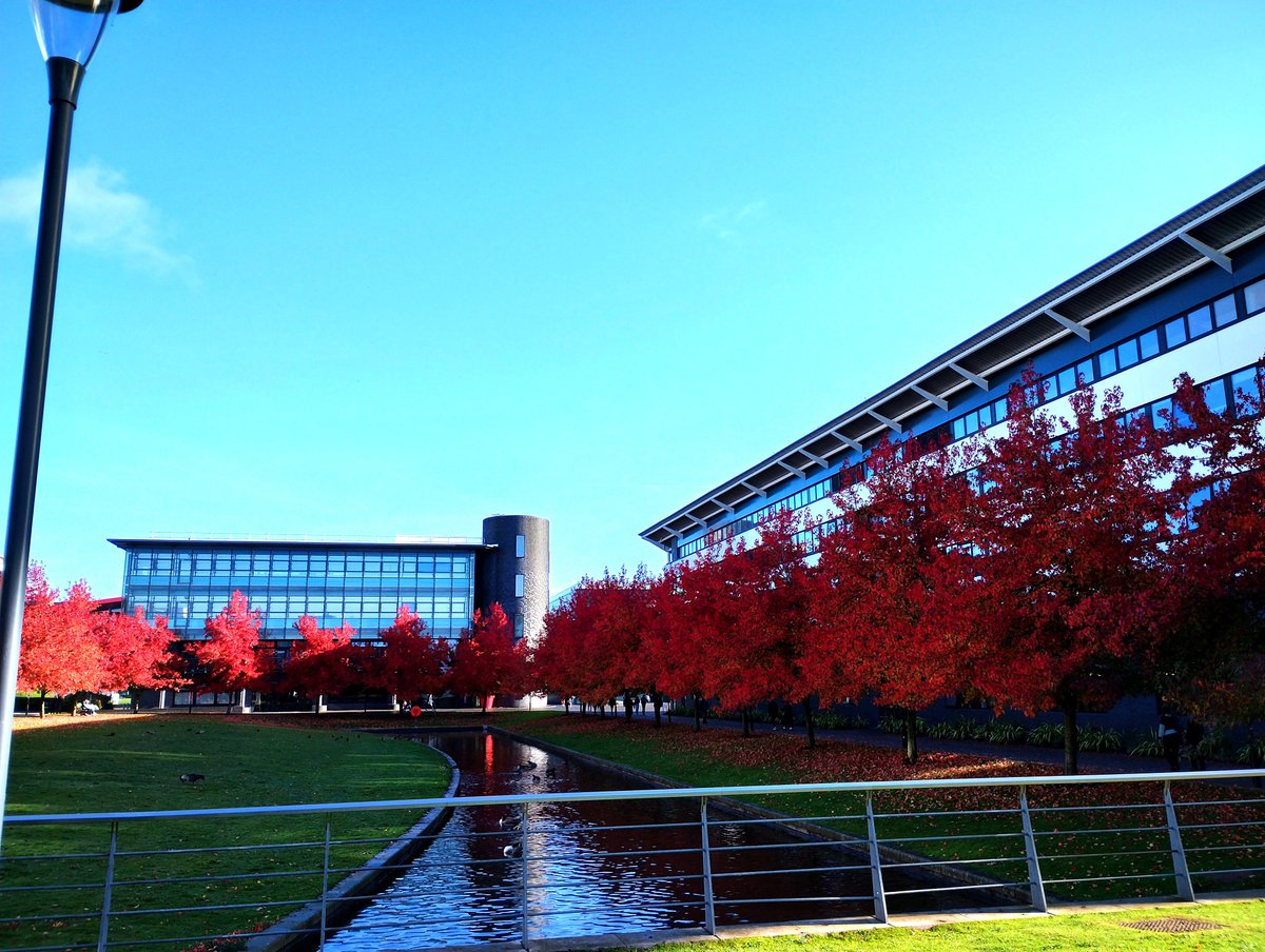 Mark Tyndall tweet media