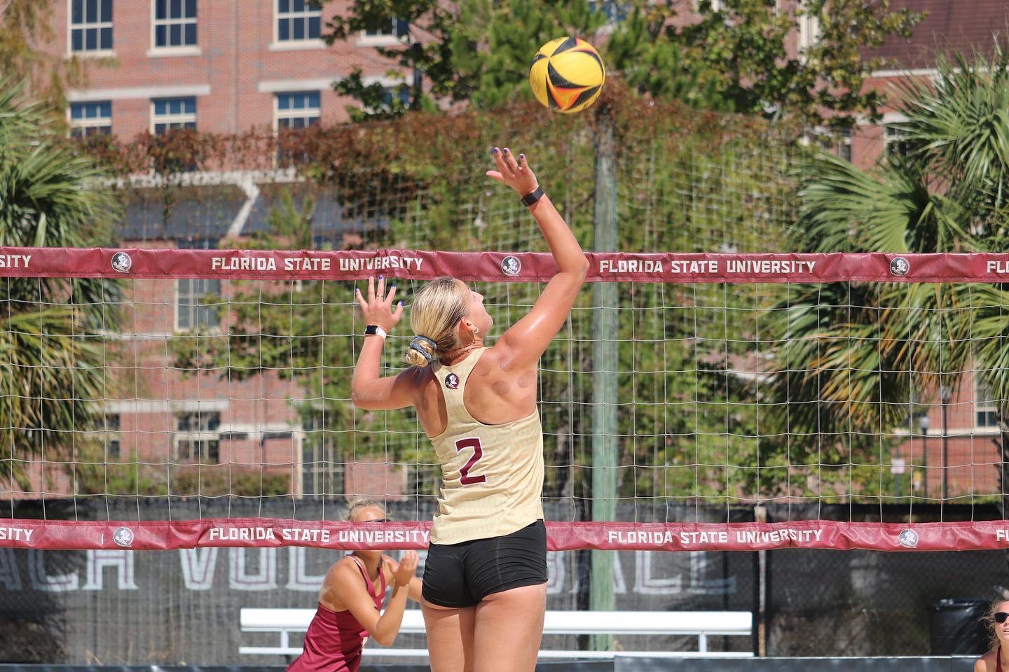 FSU Beach Volleyball (FSU_BeachVB) / Twitter