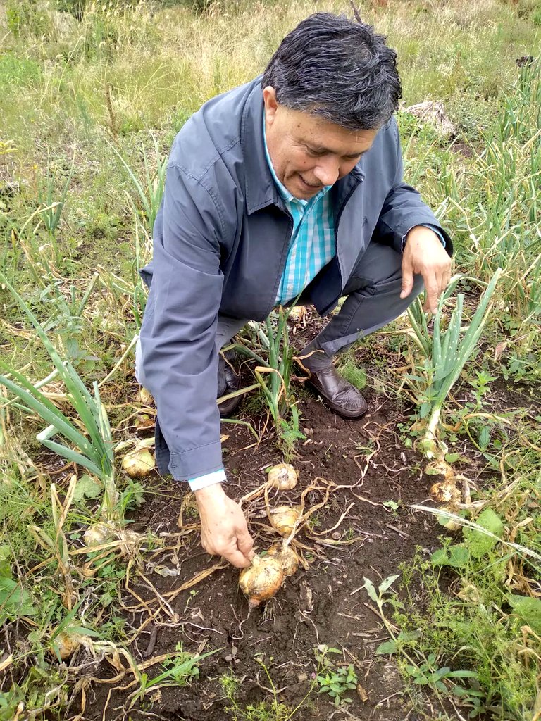 Uno de nuestros ejes programáticos más importantes que impulsaremos desde el congreso será la seguridad alimentaria de nuestro pueblo, con la producción de alimentos sanos desde las fincas campesinas; desde nuestro proyecto político 2023 apostamos por una mejor calidad de vida 🇵🇾