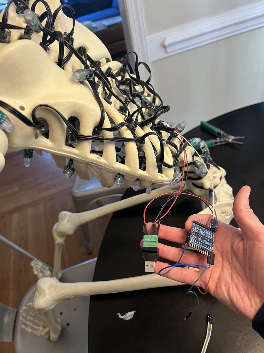 patdillon's tweet photo. My neighbor dropped a skeleton on our steps today and you know where this is going… https://t.co/XjBRlS3Hri