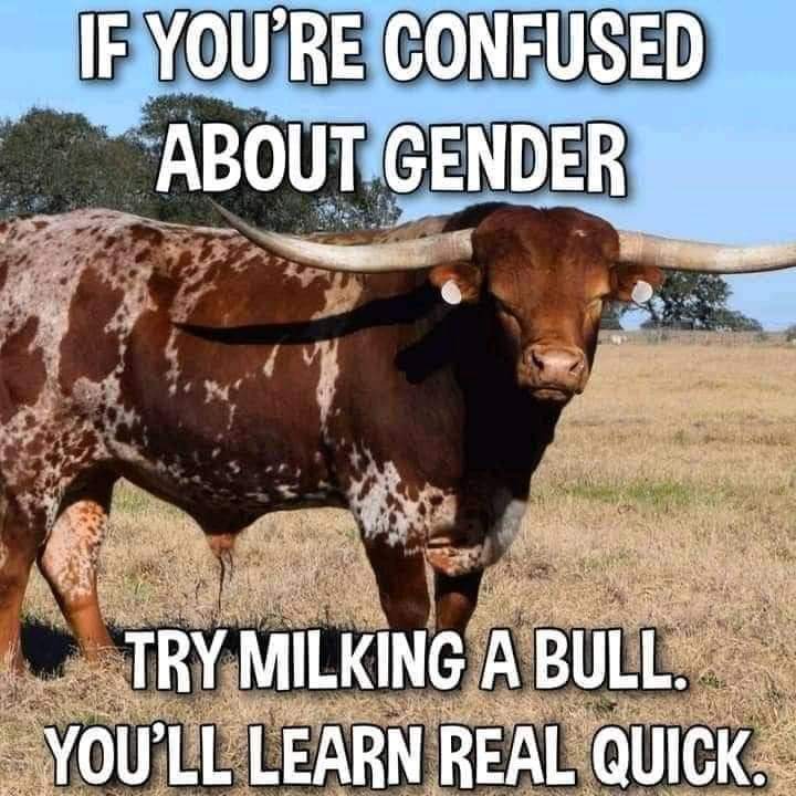 👍😂😂