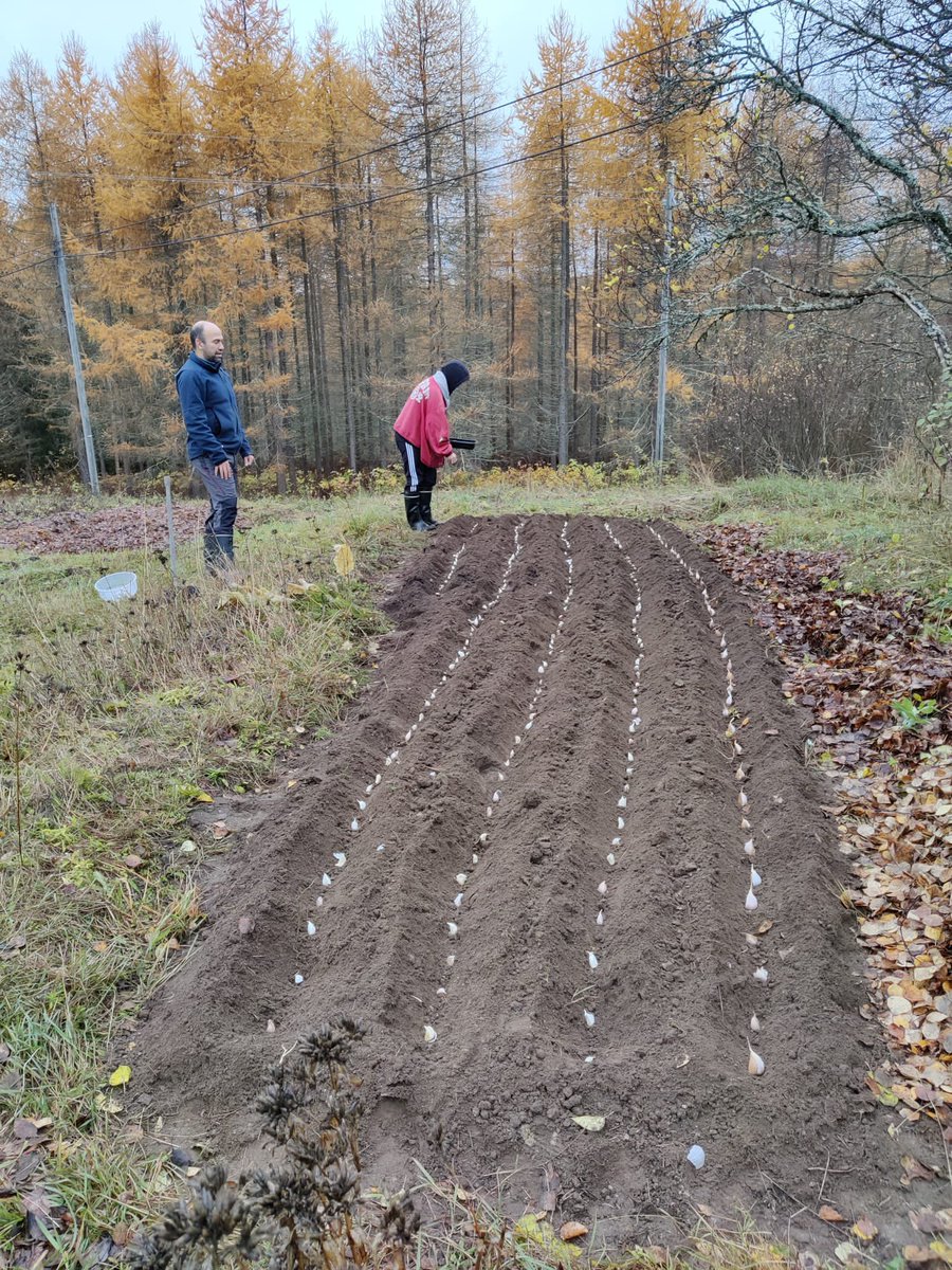 Jussi Manninen tweet media