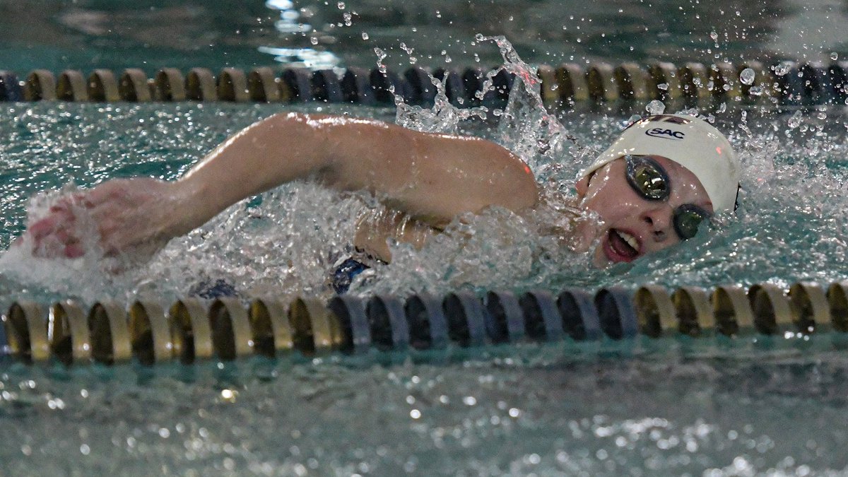 Wingate Bulldogs tweet media