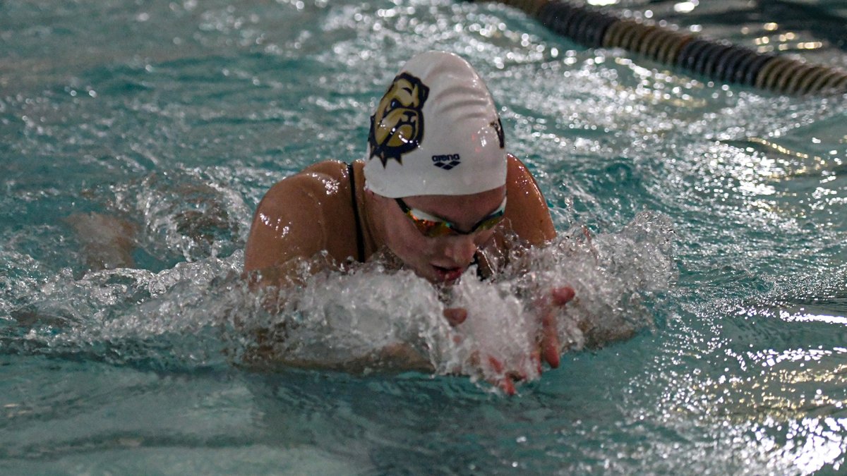 Wingate Bulldogs tweet media