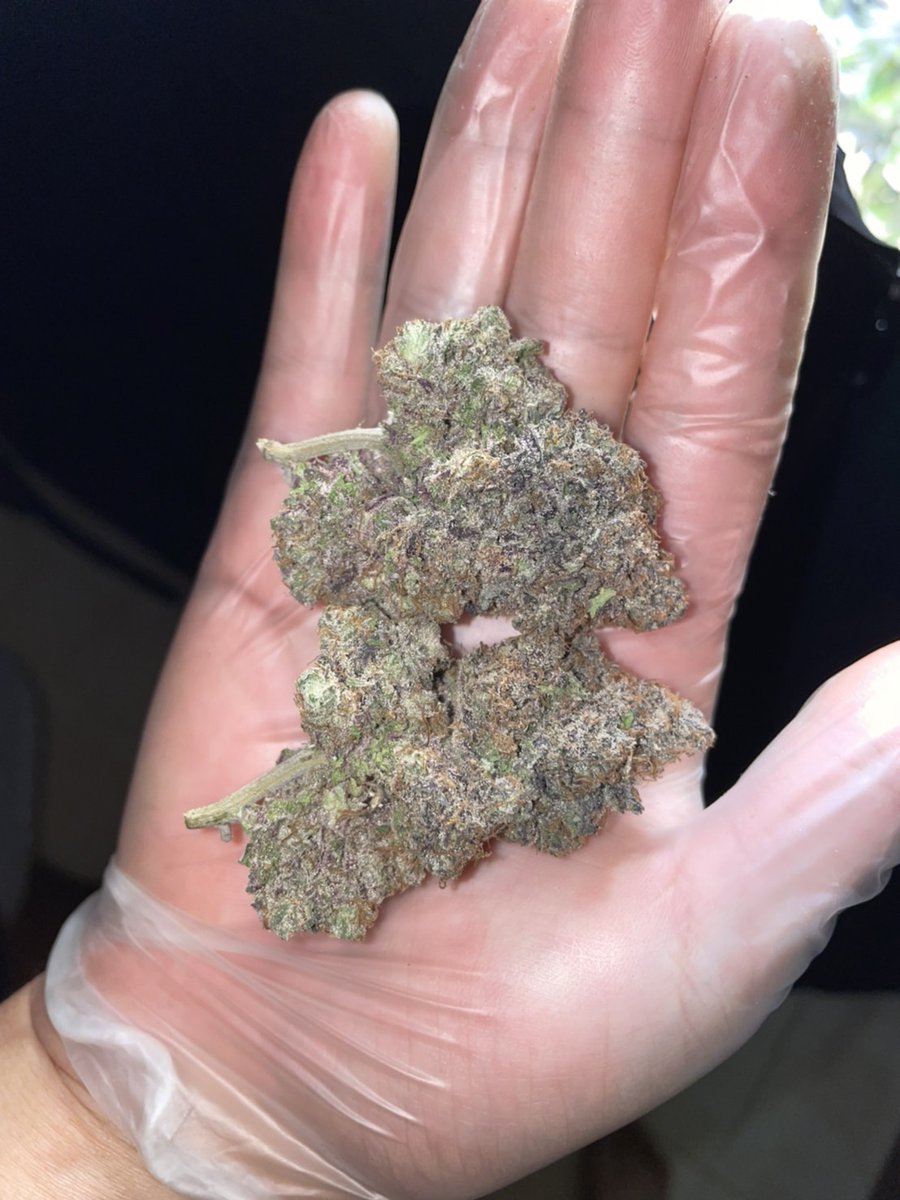 CCT MisterThree tweet media