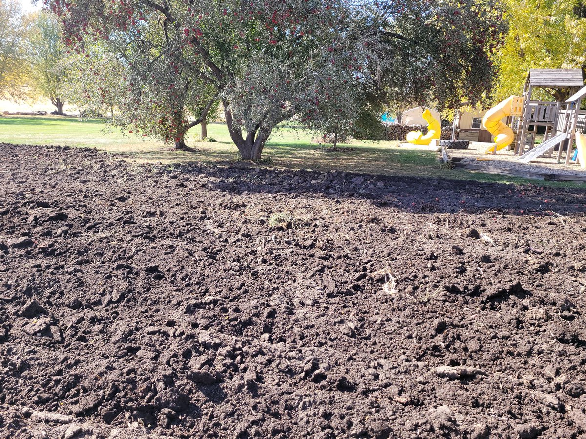 ScottCronbaugh's tweet photo. Sorry, @MNelson_ISU, I did some ripping today.
#makeitblack #garden #removecompaction https://t.co/dRTrOG1hlD