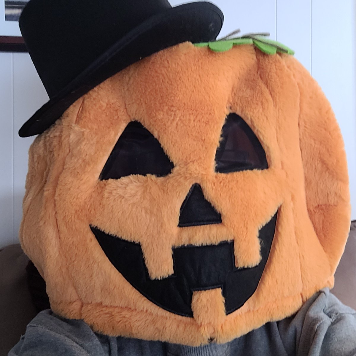 collins_vocal's tweet photo. Working on my Pumpkin Bones costume! #Pumpkinbones @Quaver_Ed @AldiUSA https://t.co/eP0mcn3eOj