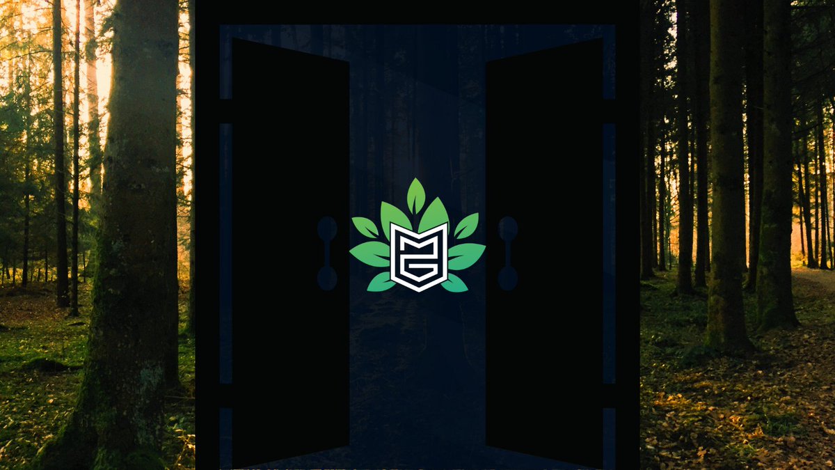 Tree Gang 💚,💚 tweet media