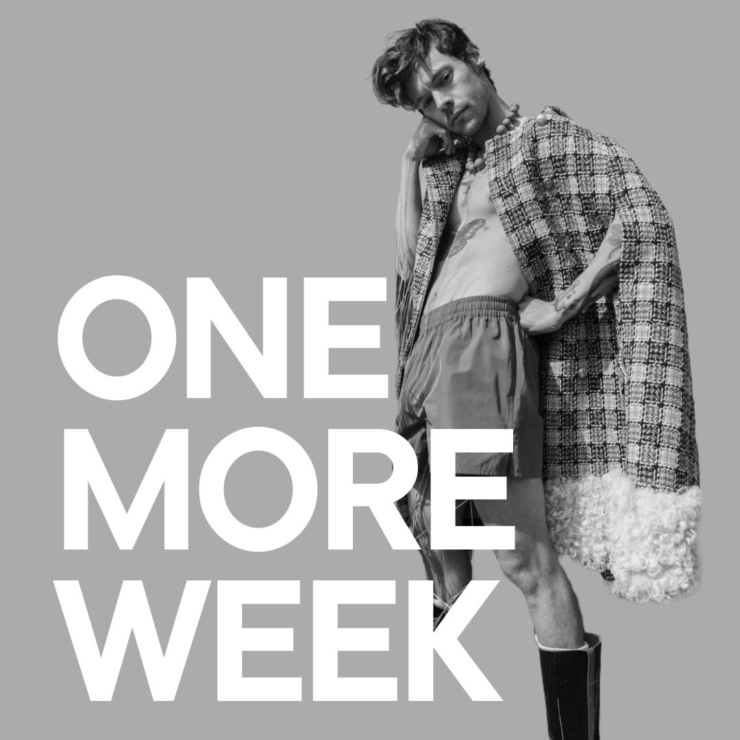 documentarries's tweet image. one week left to submit your videos to harryshousedocumentary@gmail.com and sign up for an interview on bit.ly/harryshousedoc. 🏠