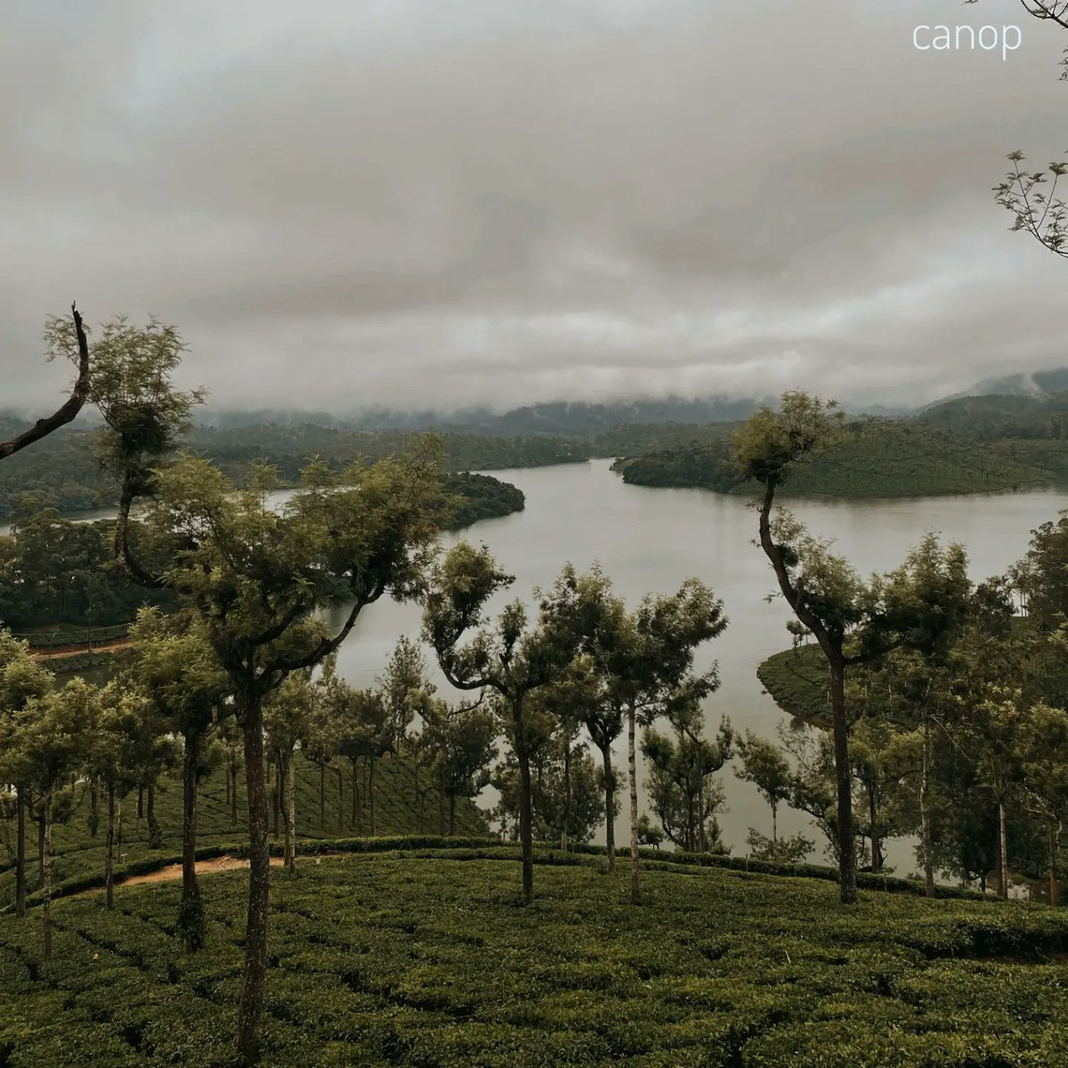 CanopMhd's tweet photo. #theni #munar ##team https://t.co/GszPFeZGRL