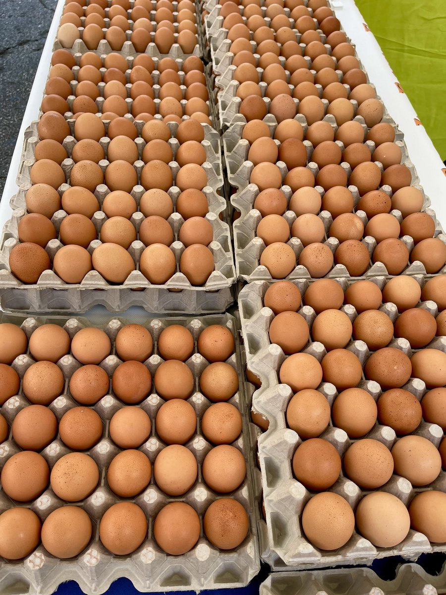 Staff_Commodore's tweet photo. From todays Farmers Market in Downtown Santa Monica.

Cool 68° today

🍓🫐🍉🥑🌶🎃 

#foodies #foodie @smfms #California #BeachLife https://t.co/Ocw9XbPvc8