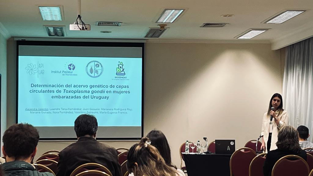 Alejandra Valentín tweet media