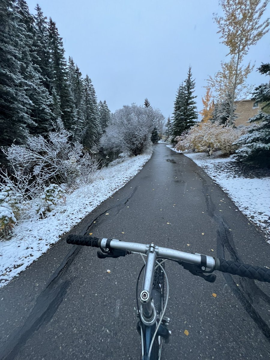 Shauna Kelly tweet media