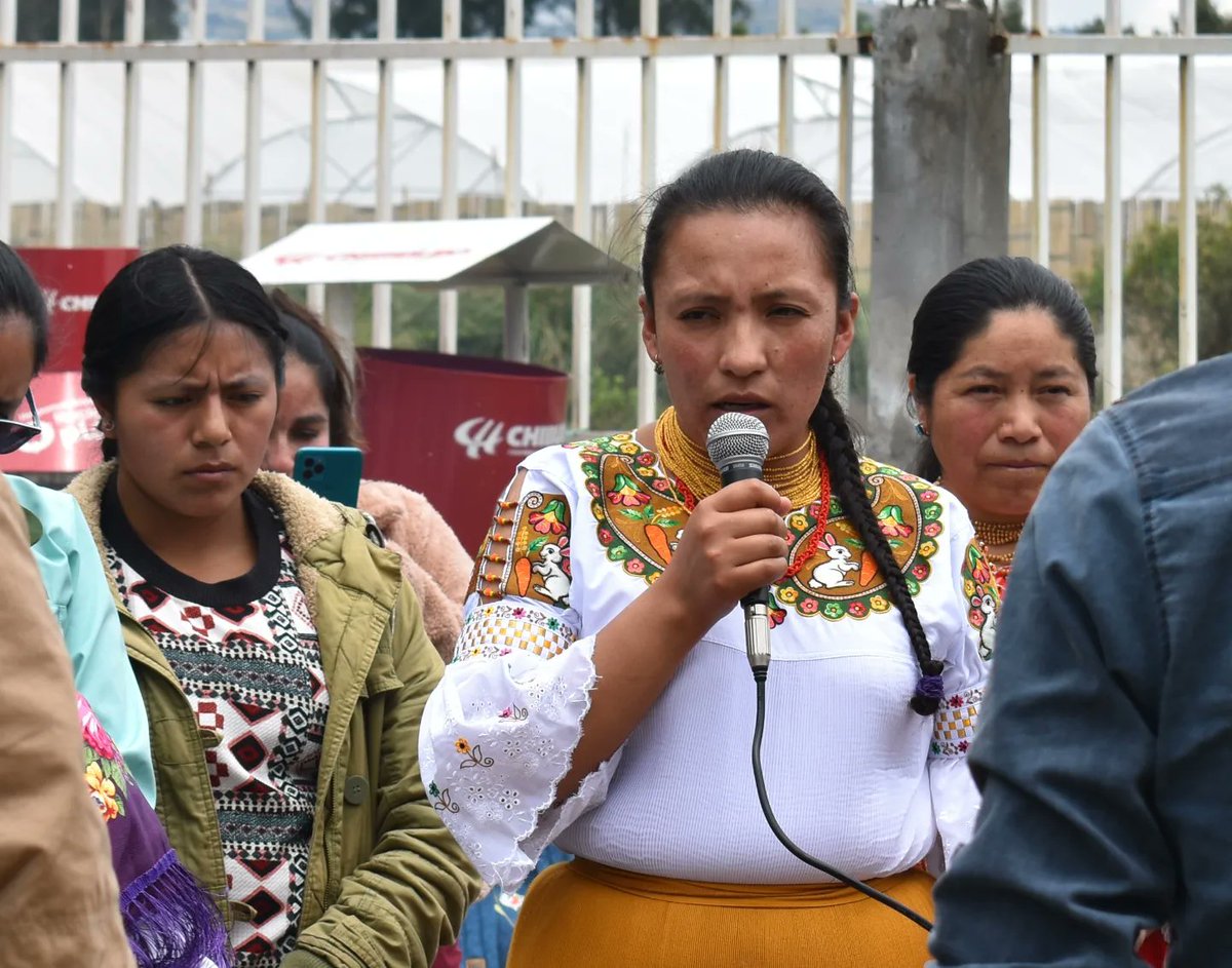 pueblo_kayambi's tweet photo. Con una ceremonia ritual ancestral rendimos un sentido homenaje de cuerpo ausente de quien en vida fue el compañero #Luis #Vinicio #Quilo #Colcha, eterno Presidente del Pueblo Kayambi, junto a las estructuras organizativas y el Consejo de Gobierno de la Confederación. https://t.co/kmVoYln0PX