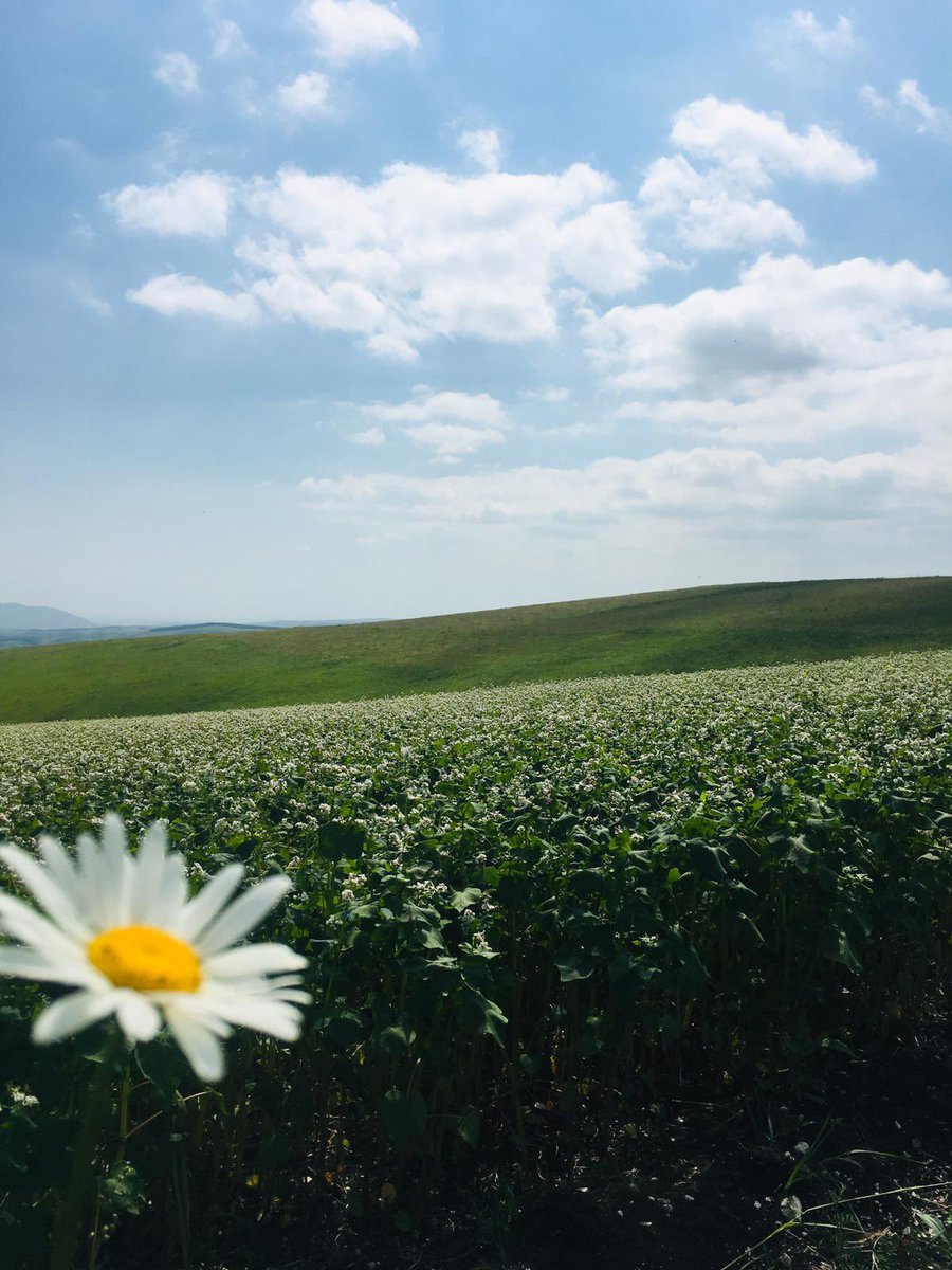 selam_imuk's tweet photo. @eviindemiir @delinindelisi0 Tarlasını bırakıyorum buraya☺️ https://t.co/A1CjL5scwz