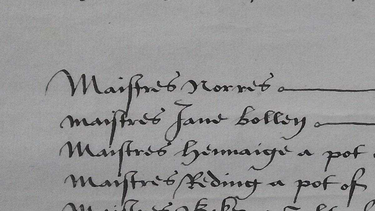Someone convince me that whoever took the New Year gift roll in 1528 for Catherine of Aragon, listing all the recipients of gifts from the queen, did not passive-aggressively spell Anne Boleyn's name wrong on purpose as 'Jane Bollen'? 'Like, er, oh, what was HER name again?'