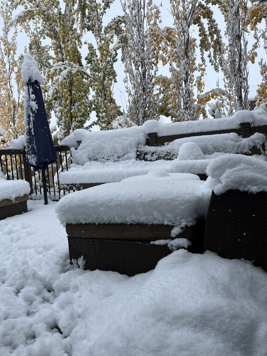 🅰️Lℹ️S🅰️ tweet media