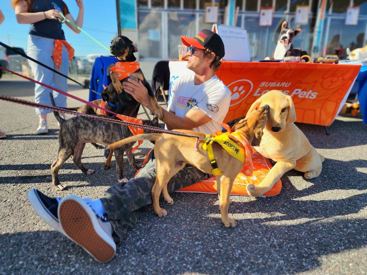 Subaru (@subaru_usa) on Twitter photo Thank you <a href="/buckylasek/">Bucky Lasek</a> for celebrating National #MakeADogsDay & helping dogs get adopted at #Subiefest Florida! 🐶❤️
Contact your local participating Subaru retailer at subaru.com/makeadogsday to find out how you can adopt from their local animal shelter partner. #SubaruLovesPets Thank you <a href="/buckylasek/">Bucky Lasek</a> for celebrating National #MakeADogsDay & helping dogs get adopted at #Subiefest Florida! 🐶❤️
Contact your local participating Subaru retailer at subaru.com/makeadogsday to find out how you can adopt from their local animal shelter partner. #SubaruLovesPets