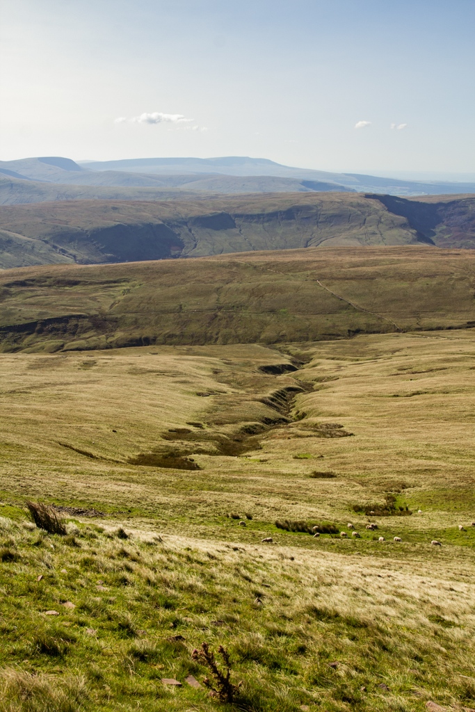 geckoafar's tweet photo. #ShareYourDream #Sweepstakes A dream trip of mine would be to take my parents to the UK and visit our favorite British TV show film locations! We'd love to see where they filmed Doc Martin, All Creatures Great &amp; Small, Downton Abbey, Father Brown, etc. How cool! @AmericanAir https://t.co/sh4JRk6qwt