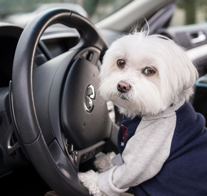 INFINITI Stuart tweet media