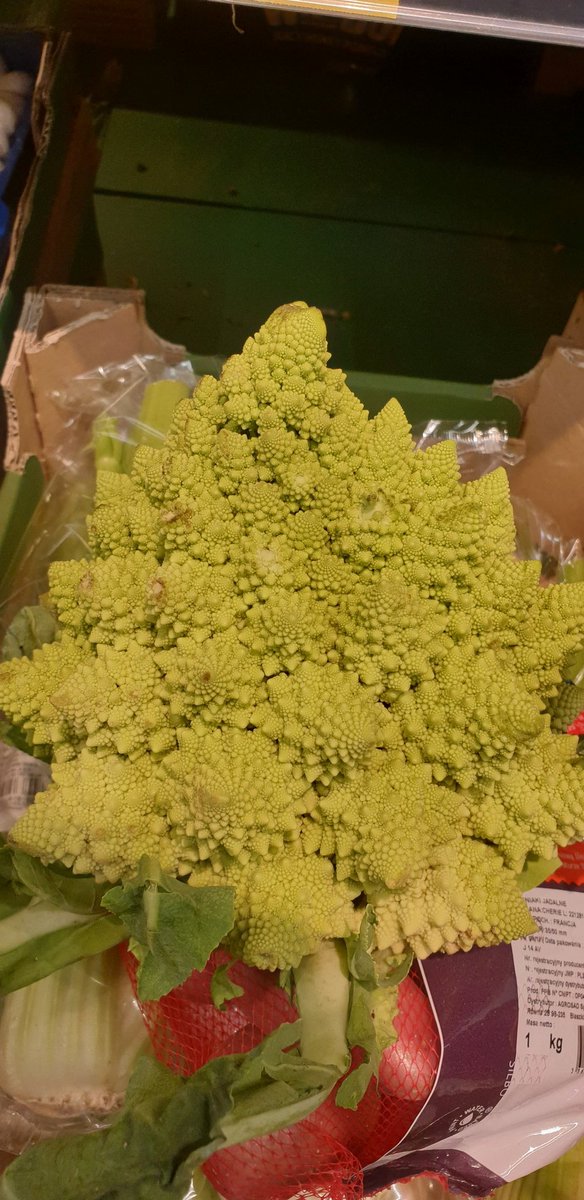 Bartek Zdanowski tweet media