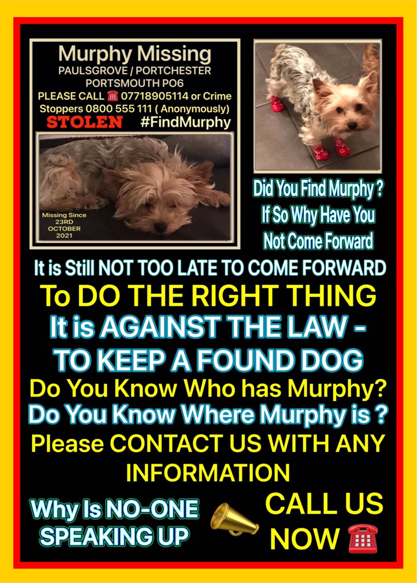 1 whole year. Please RT for #findmurphy. End the nightmare. Mend the broken hearts. Let Murphy go home 🙏🙏🙏