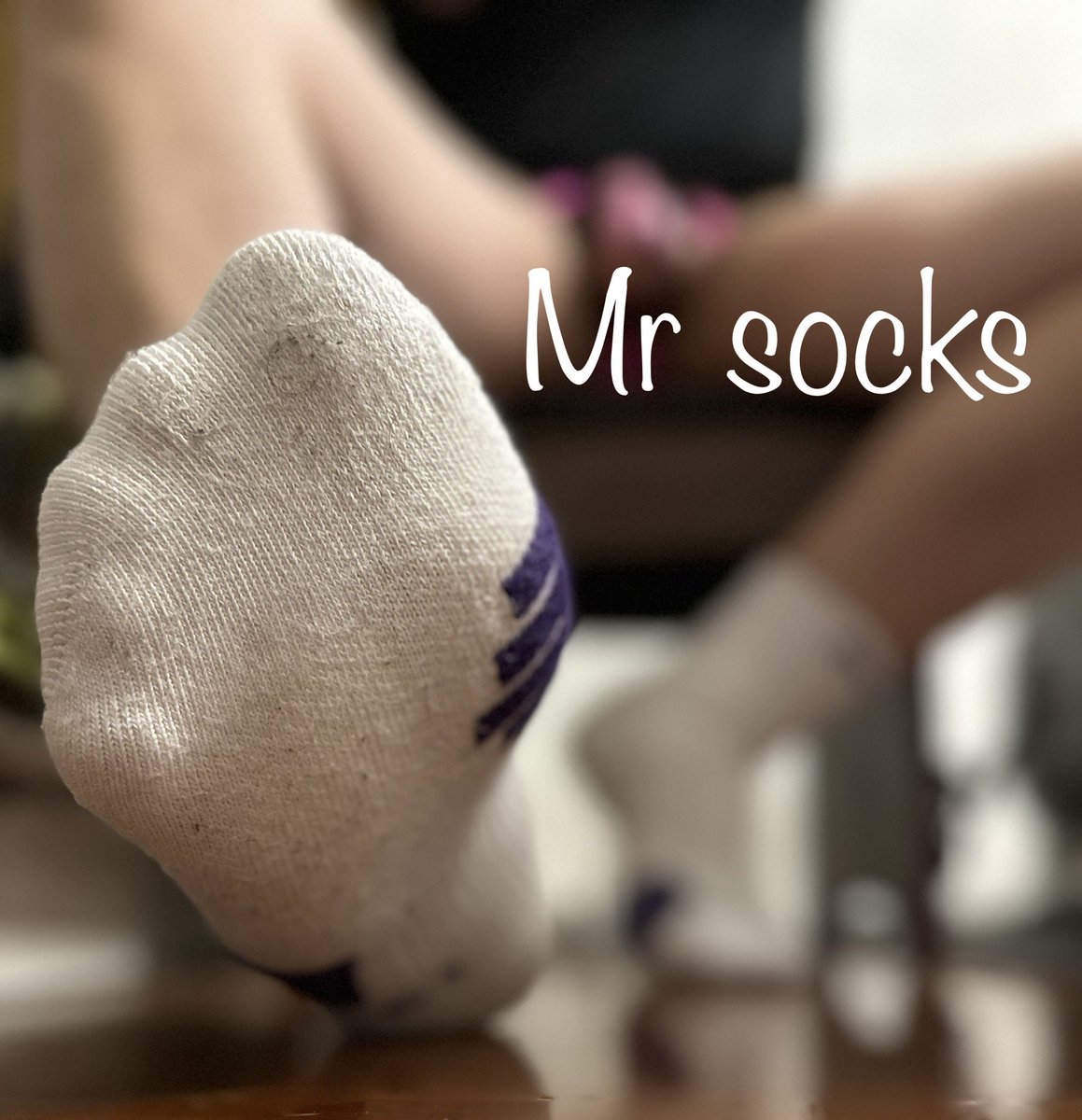 Mr socks tweet media
