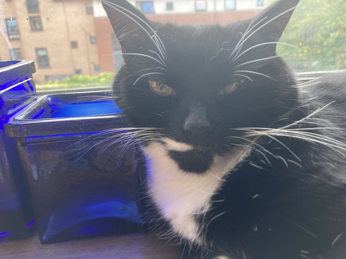 MaroonMarauder🔞 tweet media