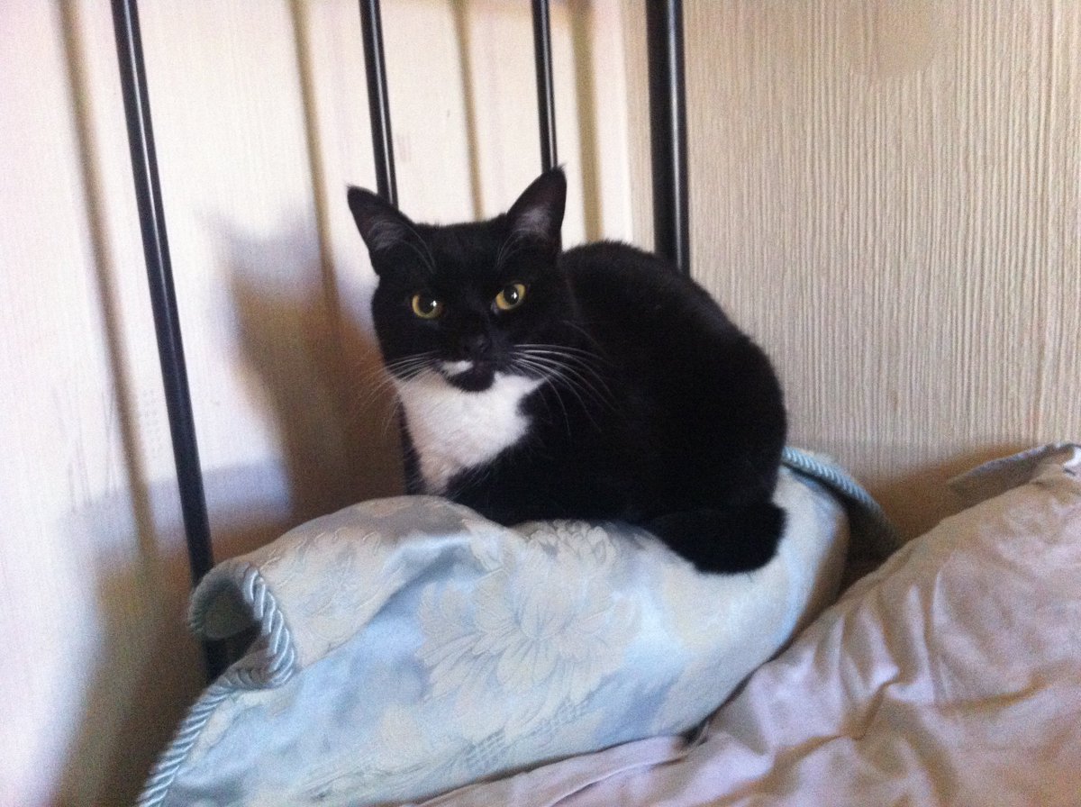 MaroonMarauder🔞 tweet media