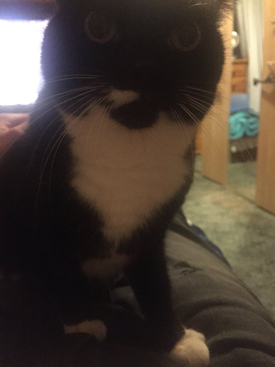 MaroonMarauder🔞 tweet media