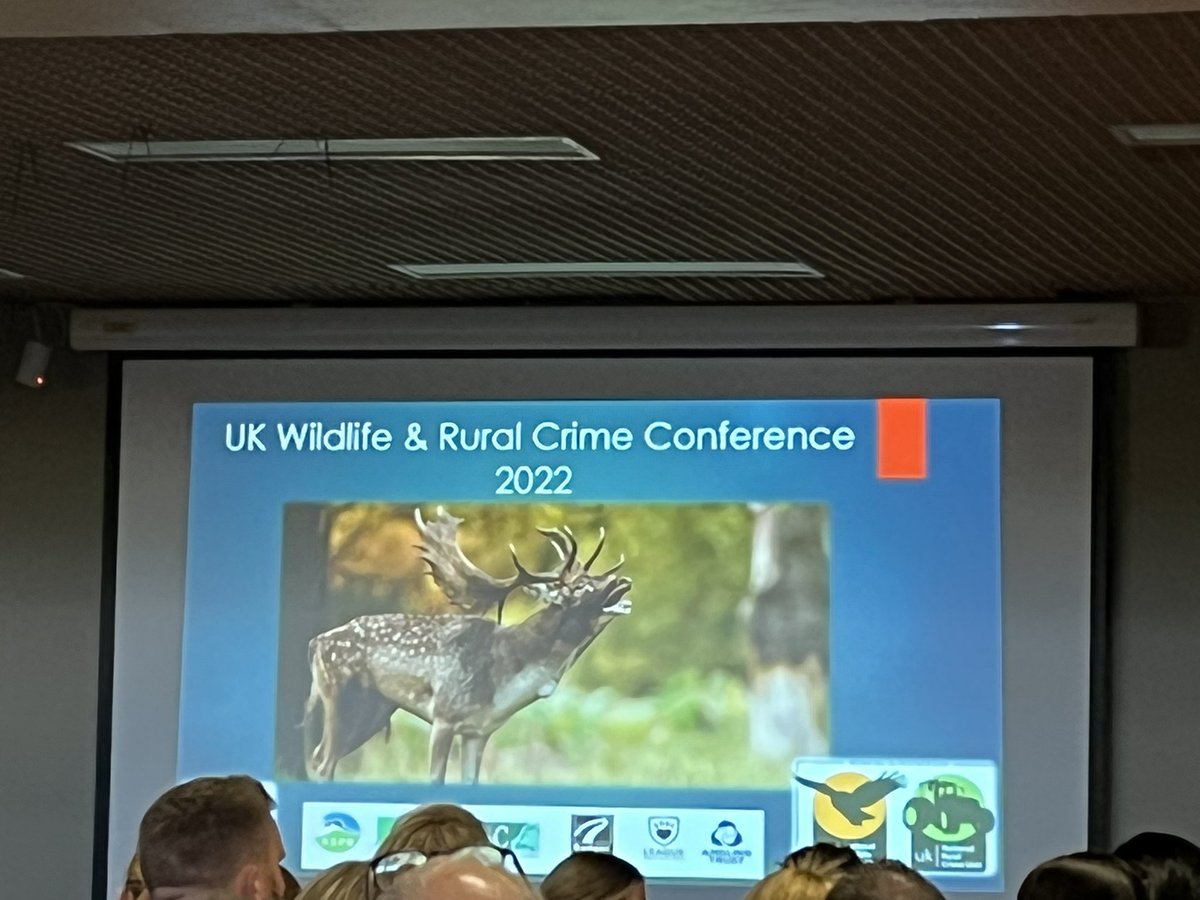 Great day at UK Wildlife & Rural Crime Conf. Delivering workshop for @BadgerPPDG on badger crime and evidencing sett use. Good to see @MeganMcCubbin and @RuthTingay and others. @ukwildlifecrime @naturalengland @BadgerTrust #wildlifecrime