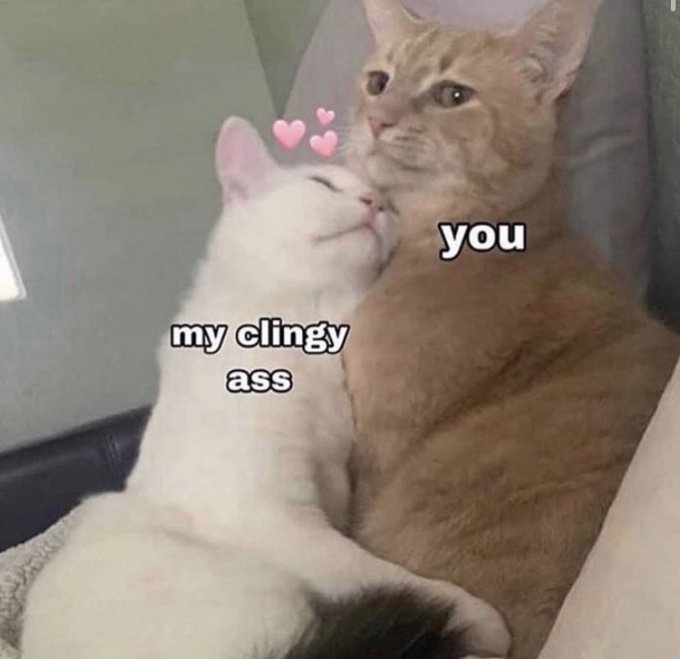 me and @trxpplin  ♡ https://t.co/ql7ndV5TtH