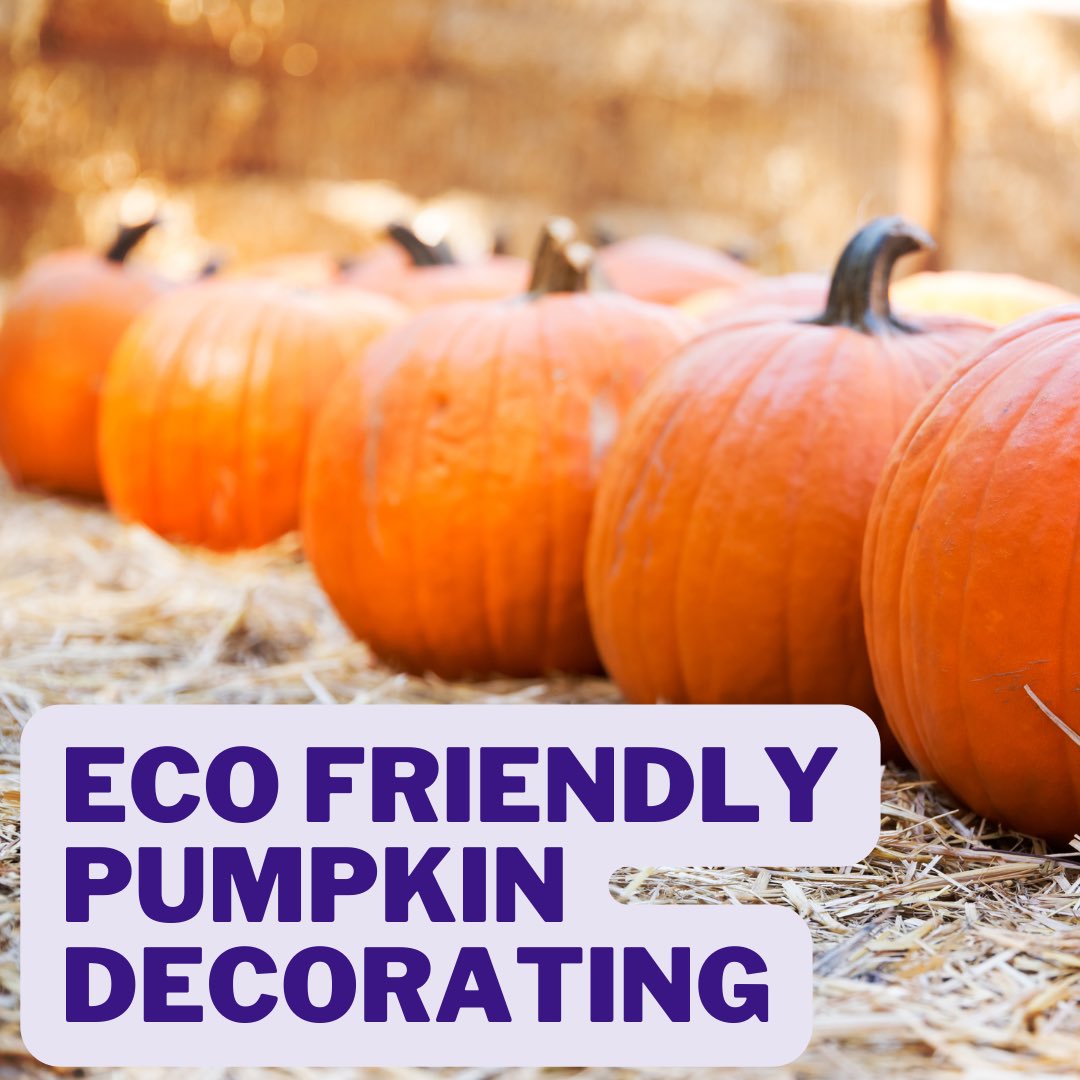 #DYK #paint & #decorations on a #pumpkin can contaminate #greenbin contents? That means it can’t be used for #compost or #mulch! We suggest #pumpkincarving but remove the #candle before #composting. If your #jackolantern needs #bling, use #foodgrade edible #glitter. #halloween