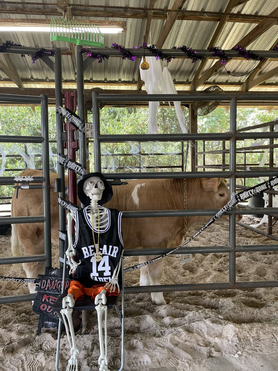 Come join the <a href="/HumbleISD/">Humble ISD</a> <a href="/ffa_summercreek/">SCHS FFA</a> <a href="/atascocita_ffa_/">Atascocita FFA Chapter</a> <a href="/humble_ffa/">Humble FFA</a> programs for “Boo at the Barn”, taking place at the South Ag Barn from 1pm-6pm today! Plenty of food, games , vendors , candy and most importantly, animals to pet !!@HumbleISD_CTE