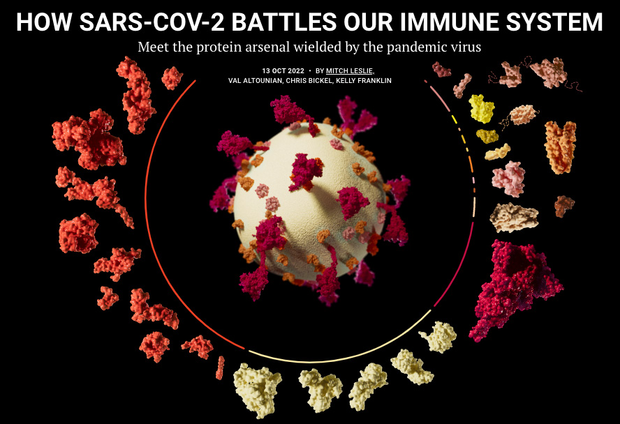 Like many viruses, #SARSCoV2 deploys a molecular arsenal to neutralize the host's immune response. Explore how the virus wields versatile proteins to foil our immune system’s counterattack in this interactive: scim.ag/he