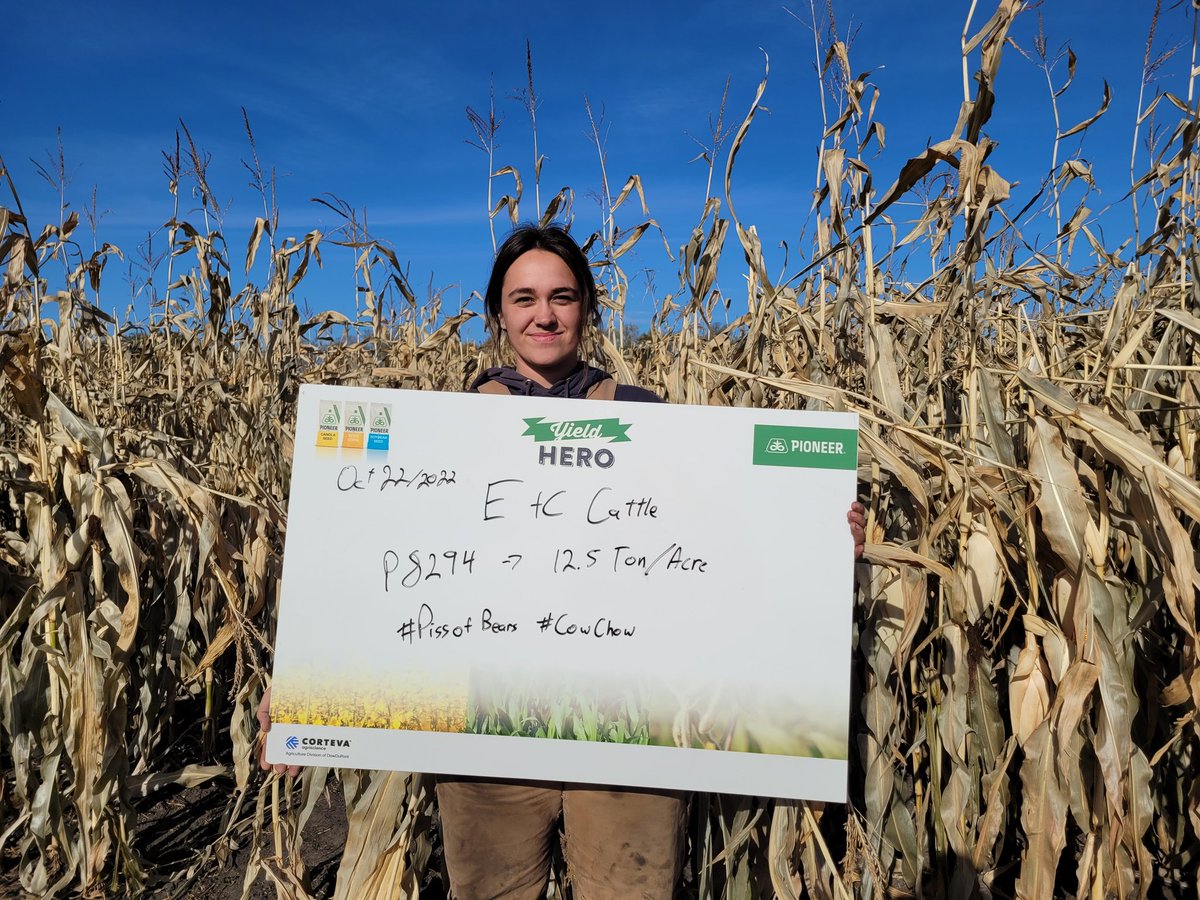 David Boerchers tweet media