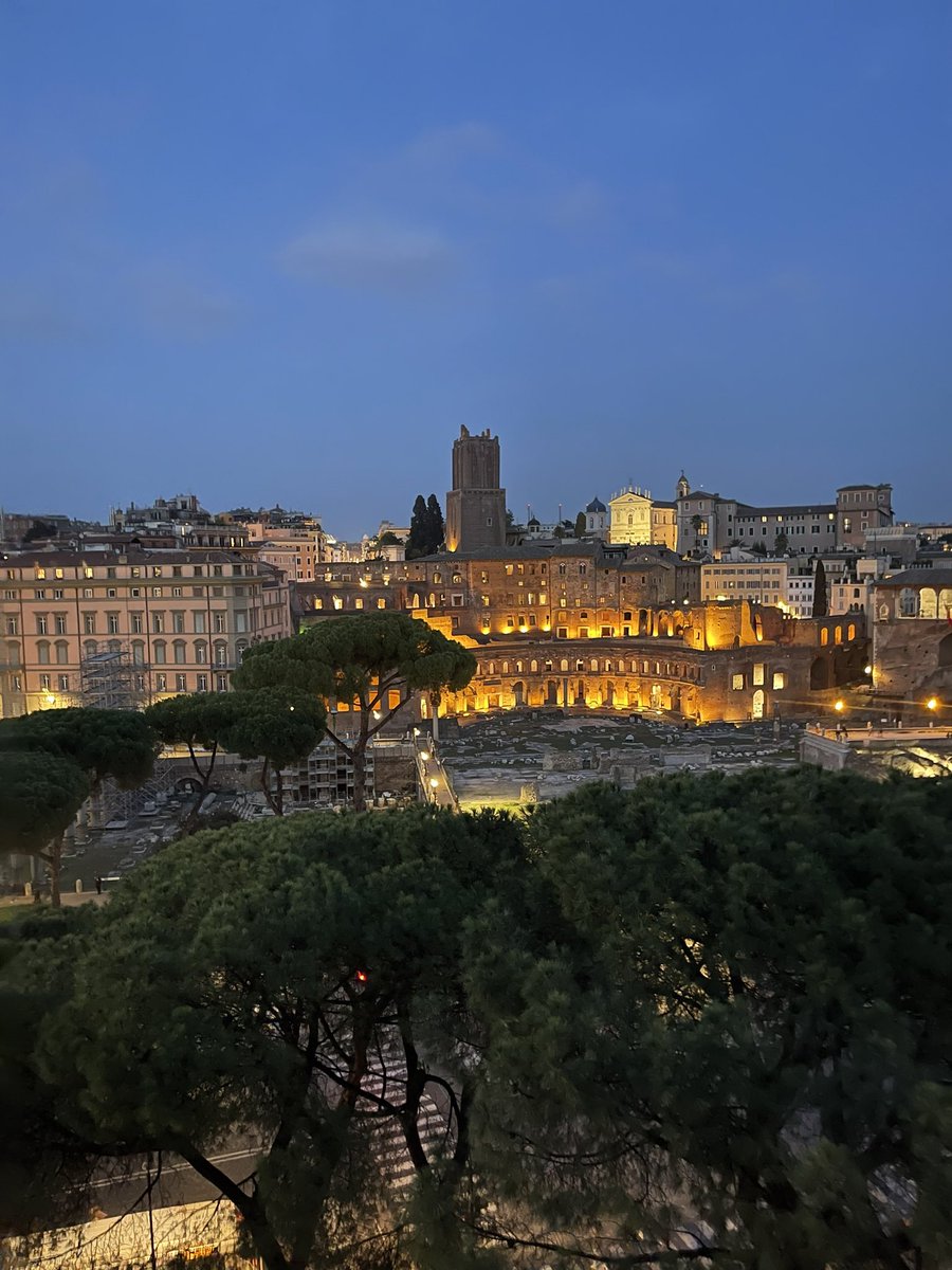 Karina Falko tweet media