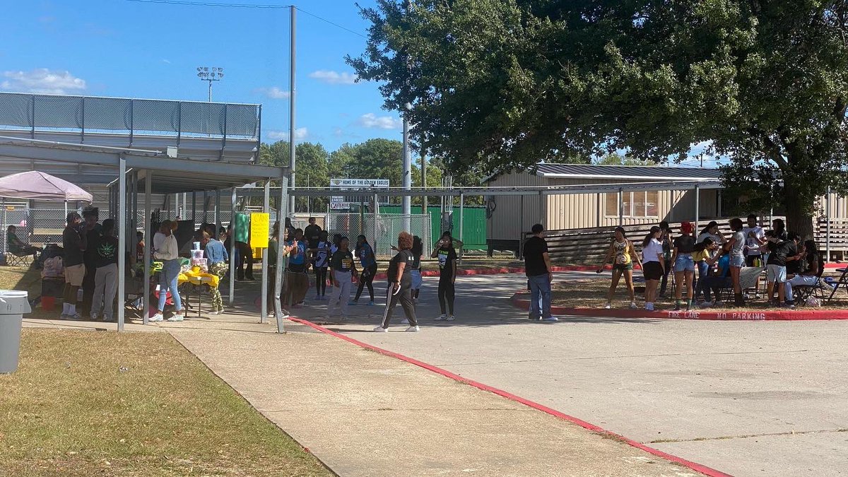 Klein Forest STUCO tweet media