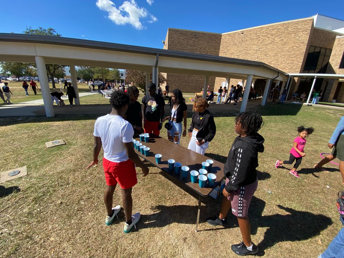 Klein Forest STUCO tweet media