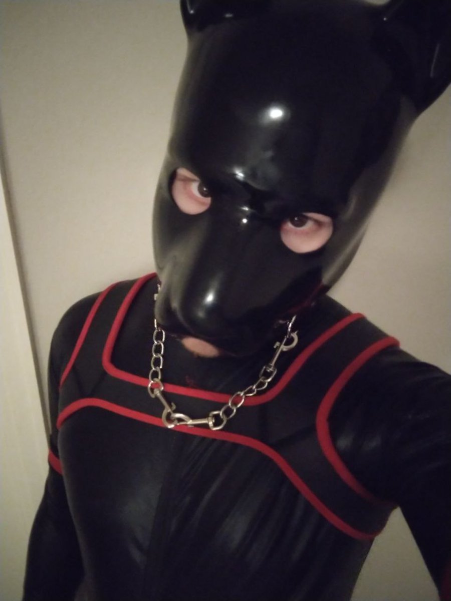 Pup Vector (@pvector221) on Twitter photo 