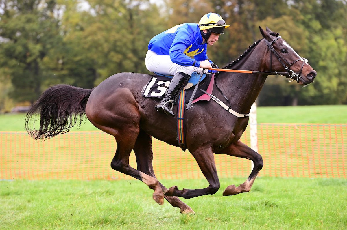 QrIrish's tweet photo. Mister Park ridden by James Hannon were easy winners of the 5yo geldings maiden for Ian Power @coolmorestud 📷 @WJHJT https://t.co/0z37rQesep
