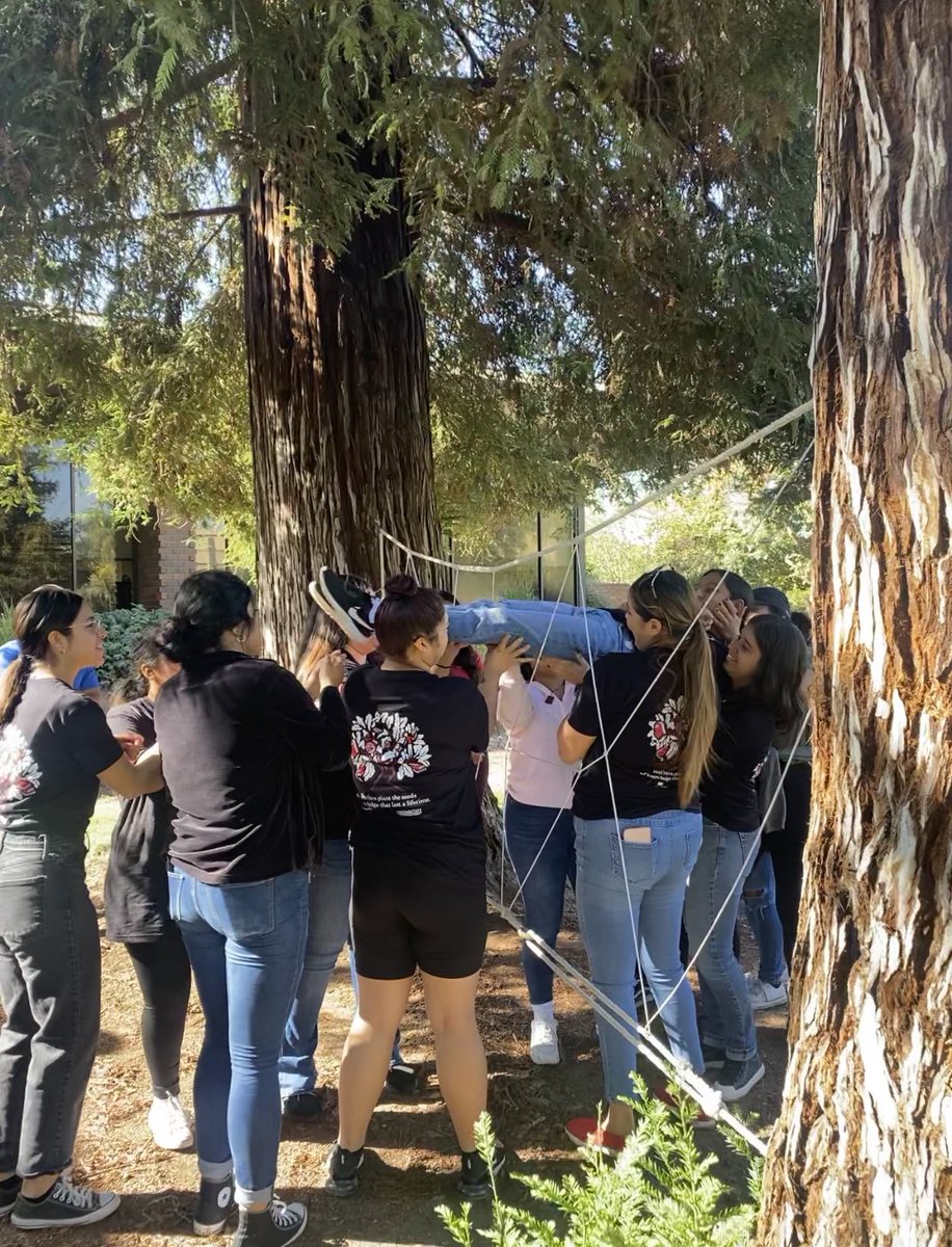 Enseñamos en el Valle Central tweet media