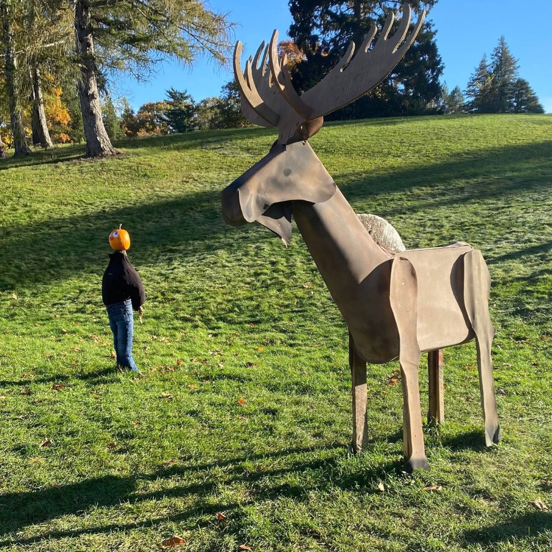 haveitallAV's tweet photo. A beautiful afternoon to get out and see Kentville's Pumpkin People display! The Pumpkin People will be in town for one more week. See them before they're gone! https://t.co/Hvnl5PreP0