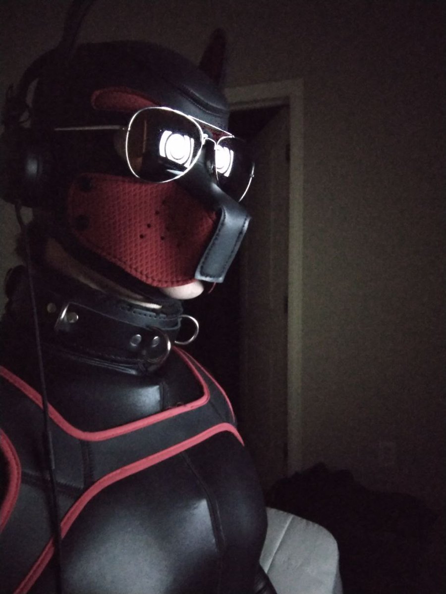 Pup Vector (@pvector221) on Twitter photo 