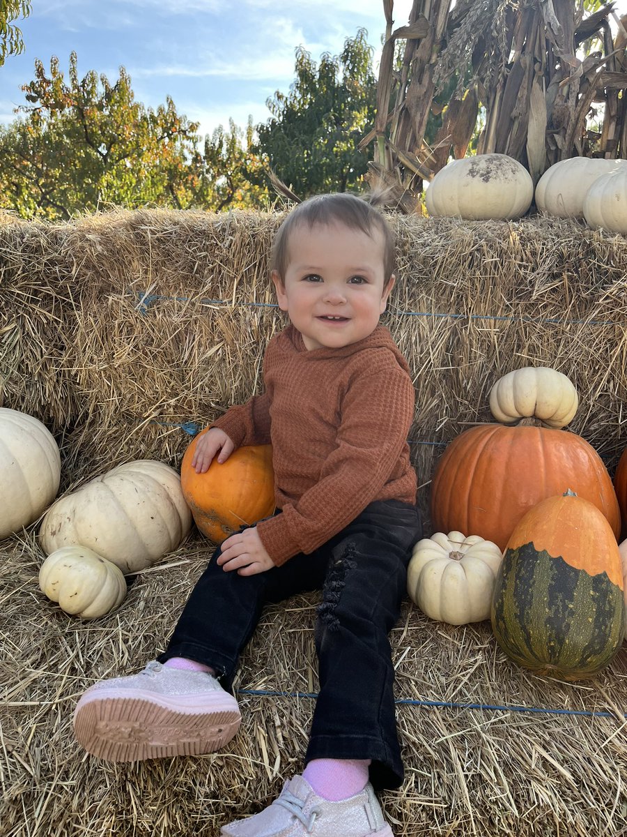 shy_callis's tweet photo. I guess since we posted it on Facebook. Alex &amp; I have been keeping a secret!👻🎃 @KochRocket_ https://t.co/CdKG60SfO7
