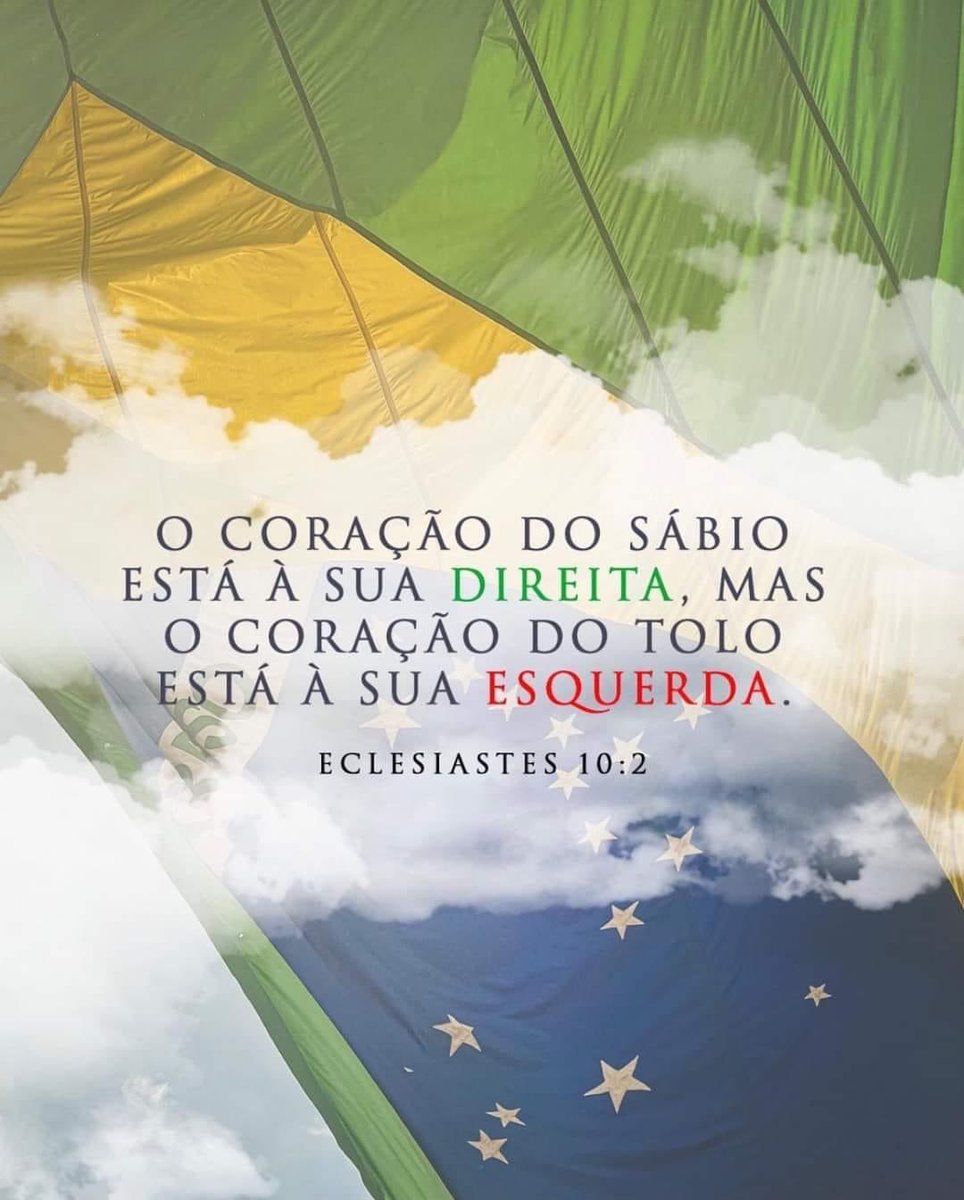 tsborges's tweet image. 