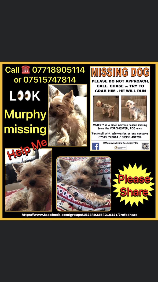 Who are you ? What gives you the right to do this to this family .Think what you have done and ring us now . We are waiting. #YORKSHIRETERRIER #FindMurphy .