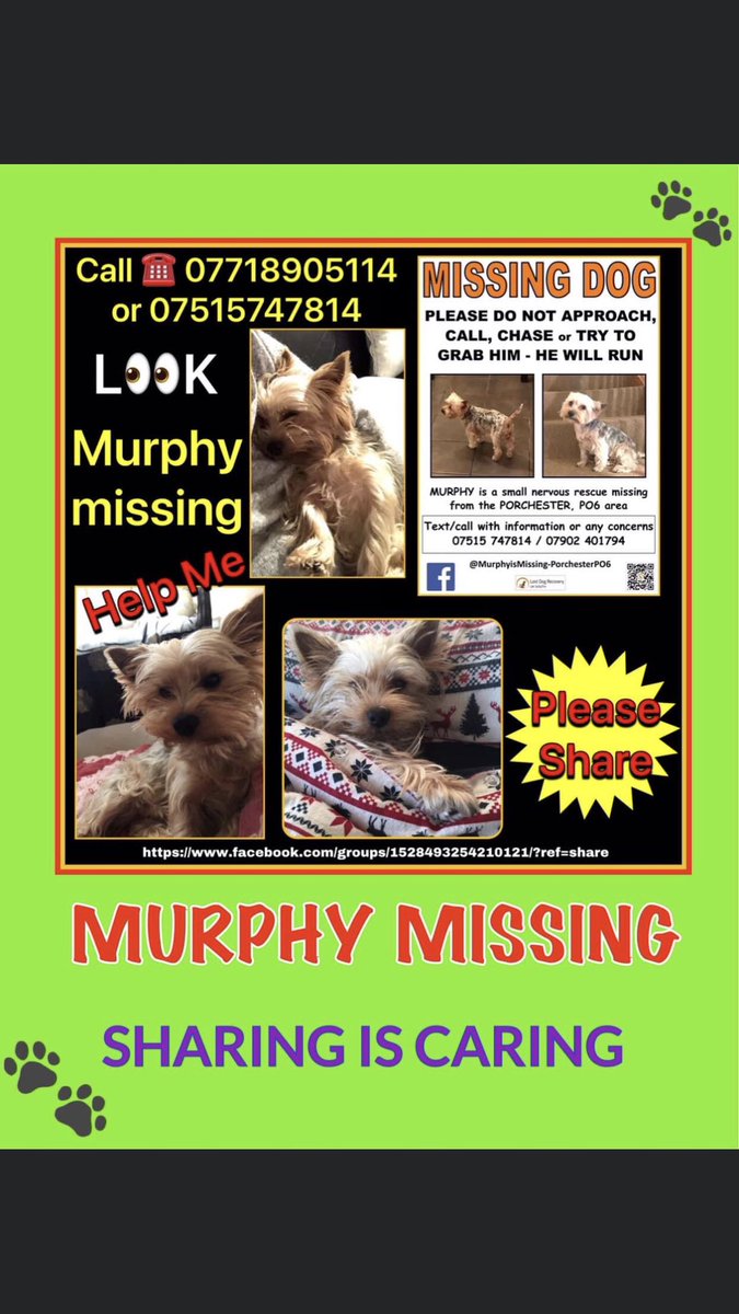 #Twitter you know what to do #RETWEEETMEPLEASE  #FindMurphy #YORKSHIRETERRIER